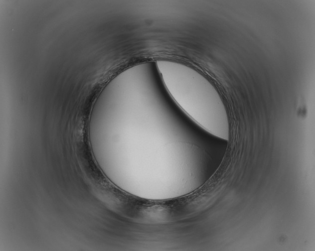 X0000091570551200708200953