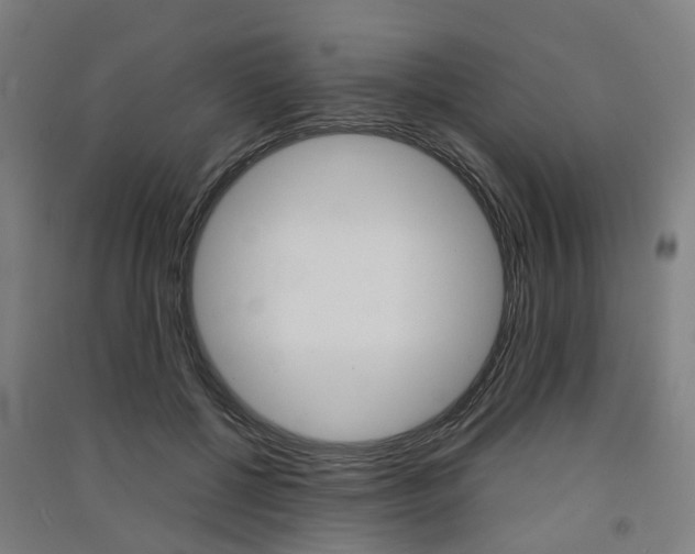 X0000091570552200708200953
