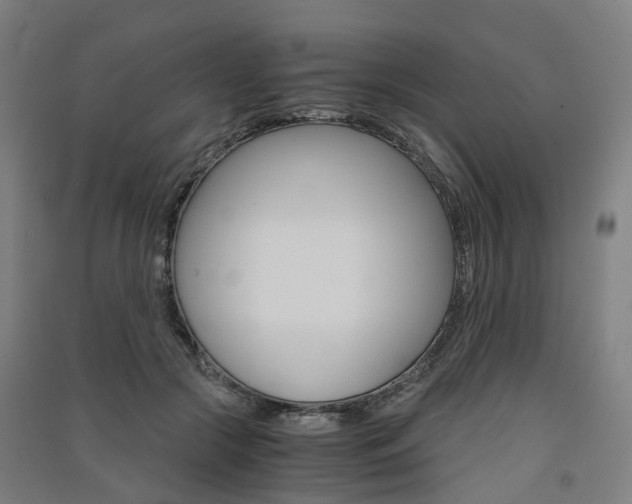 X0000091570553200708200953