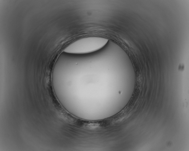 X0000091570554200708200953