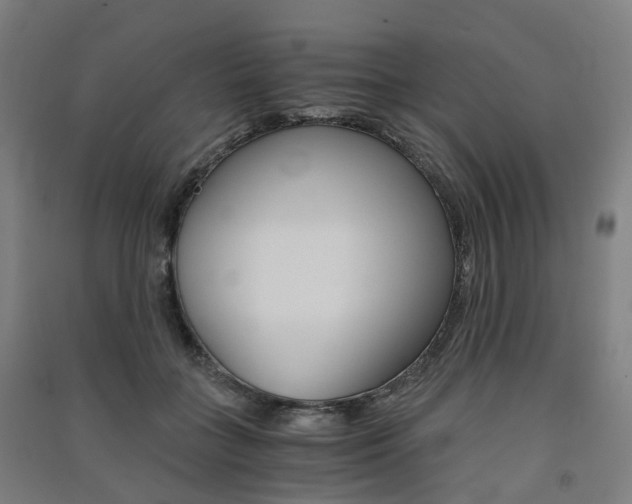 X0000091570555200708200953
