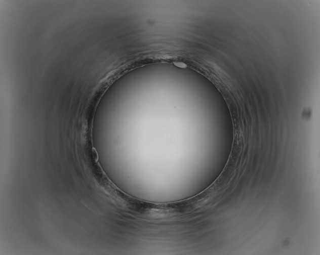 X0000091570556200708200953
