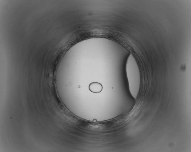 X0000091570557200708200953
