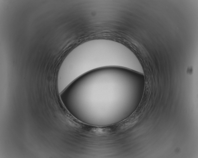 X0000091570558200708200953