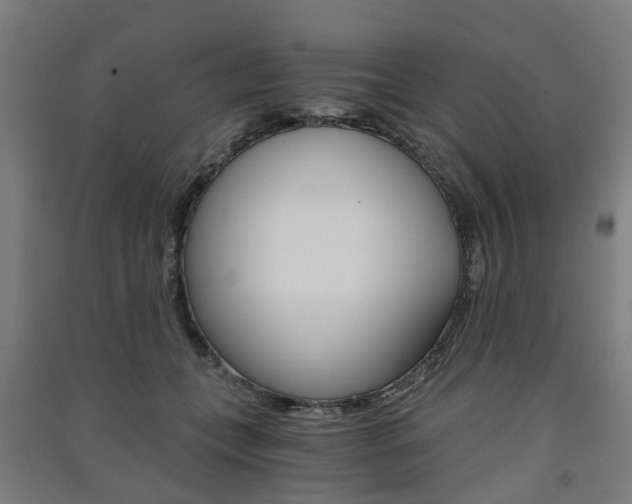 X0000091570559200708200953