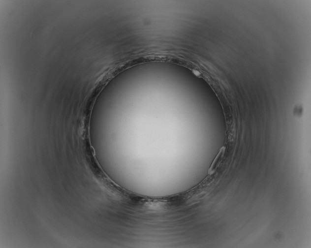 X0000091570560200708200953
