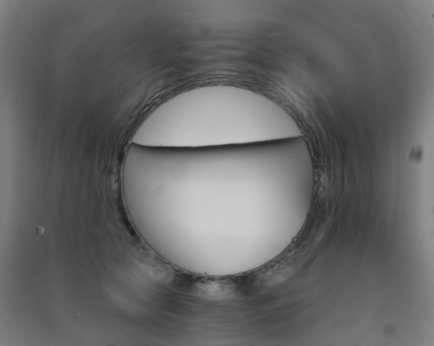 X0000091570561200708200953