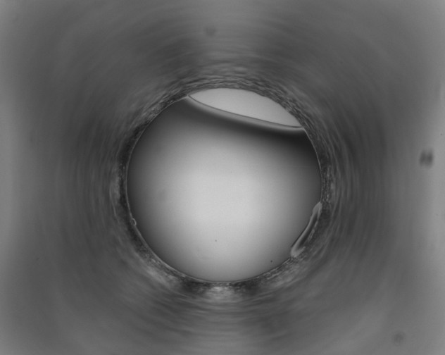 X0000091570562200708200953