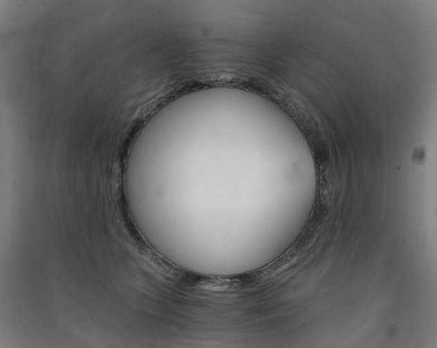 X0000091570563200708200953
