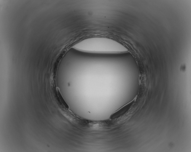 X0000091570564200708200953