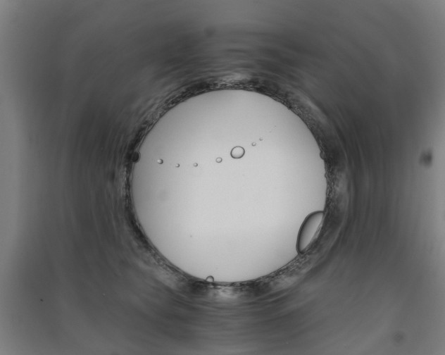 X0000091570565200708200953