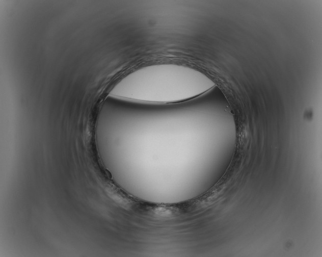 X0000091570566200708200953