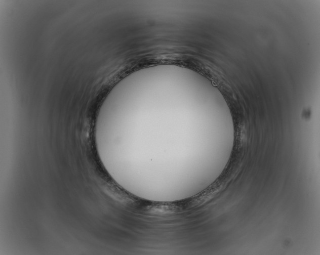 X0000091570567200708200953