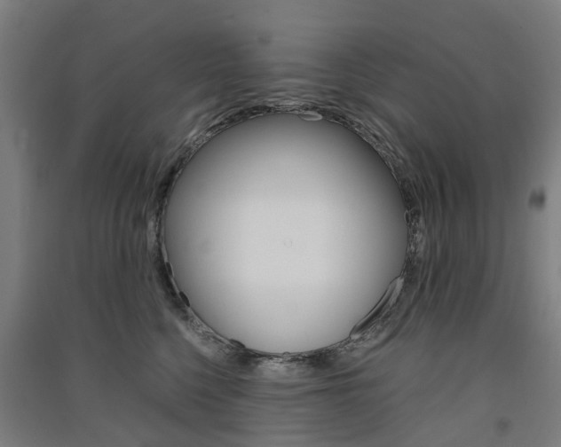 X0000091570568200708200953