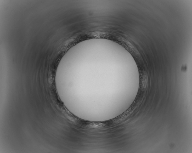 X0000091570569200708200953