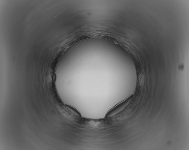 X0000091570570200708200953