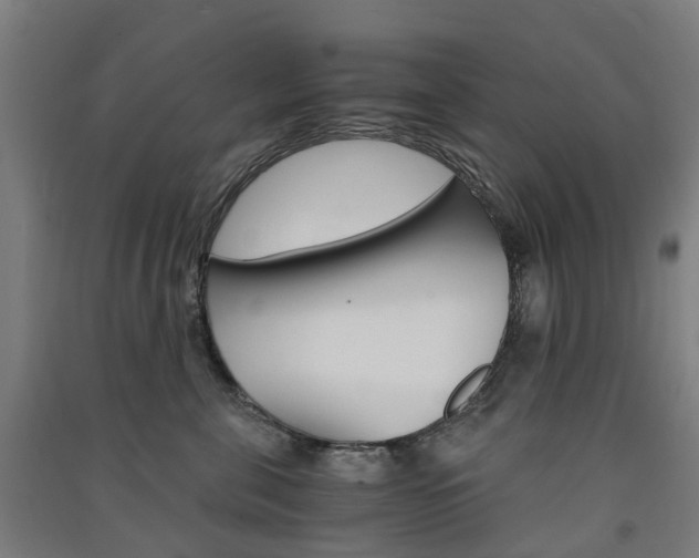 X0000091570571200708200953