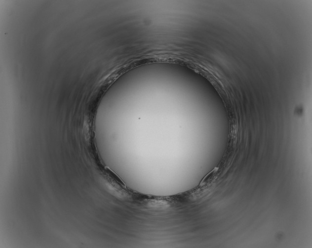 X0000091570572200708200953