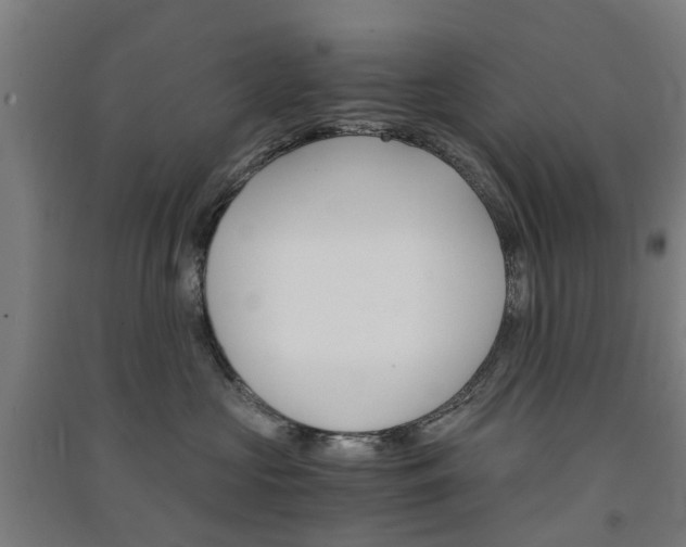 X0000091570573200708200953