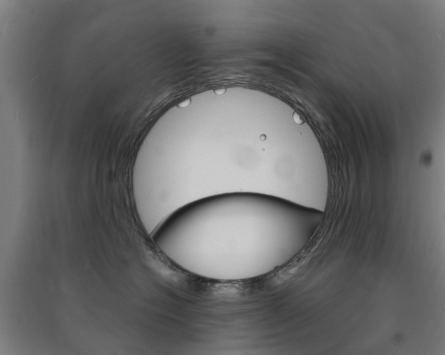 X0000091570574200708200953