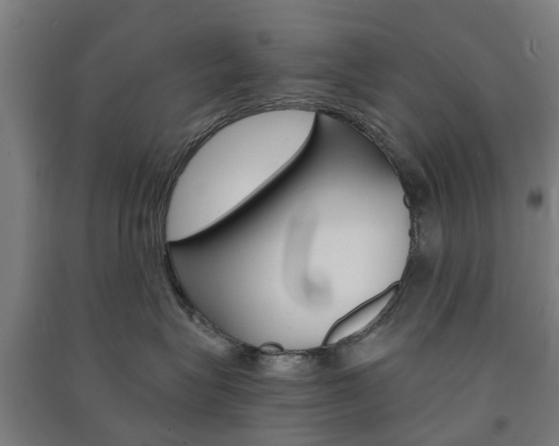 X0000091570575200708200953