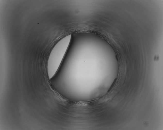 X0000091570576200708200953