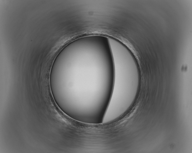 X0000091570577200708200953