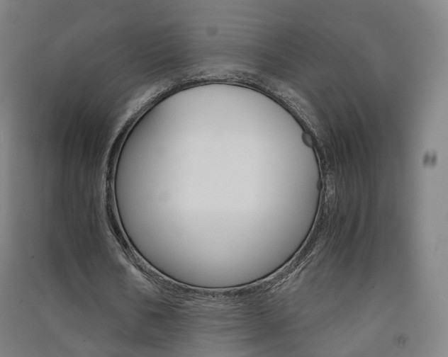 X0000091570578200708200953