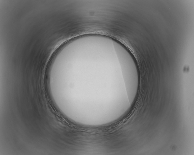 X0000091570579200708200953