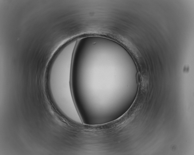 X0000091570580200708200953