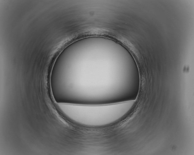 X0000091570581200708200953