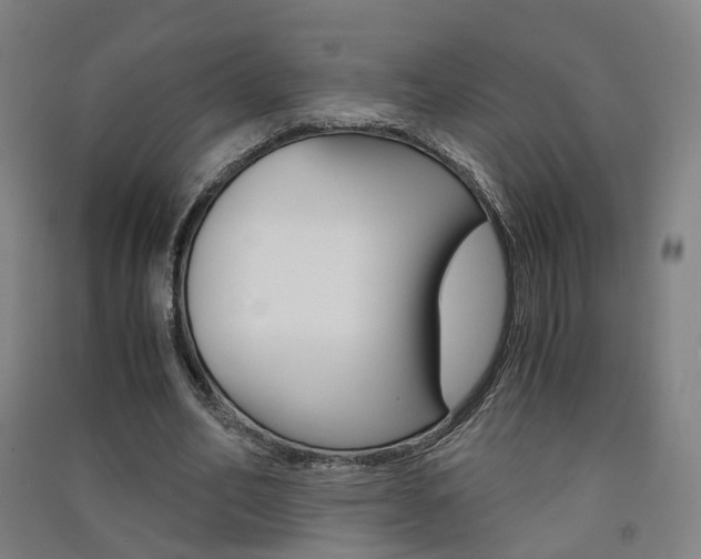 X0000091570582200708200953