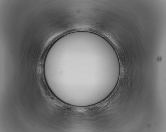 X0000091570583200708200953