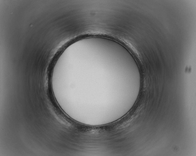 X0000091570584200708200953