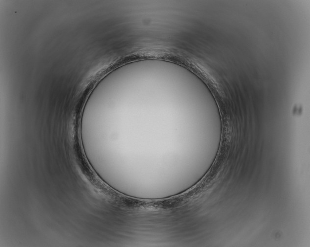 X0000091570586200708200953