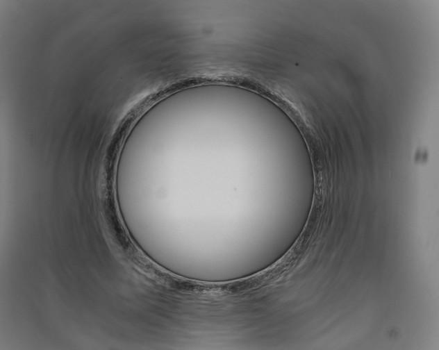 X0000091570587200708200953