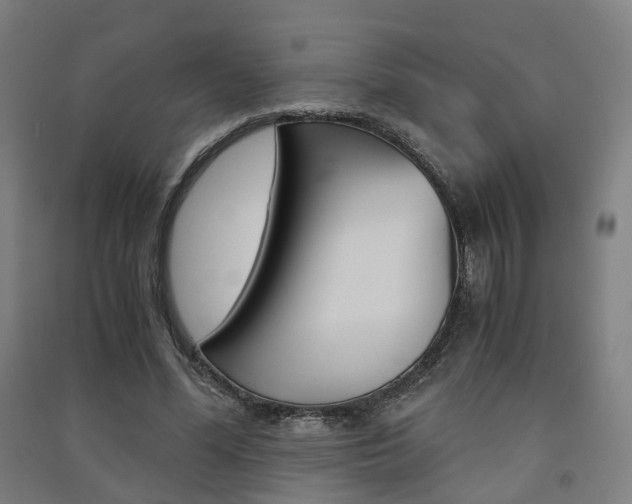 X0000091570588200708200953