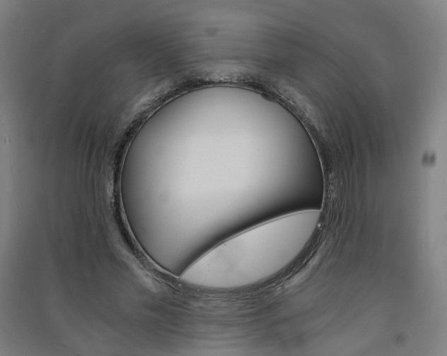 X0000091570589200708200953