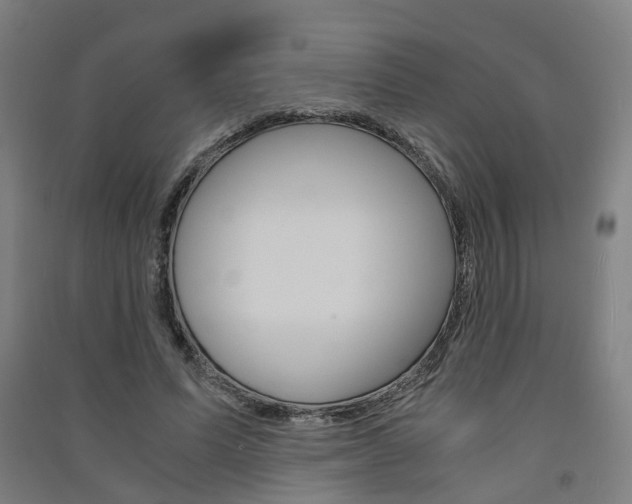 X0000091570591200708200953