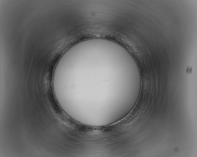 X0000091570594200708200953