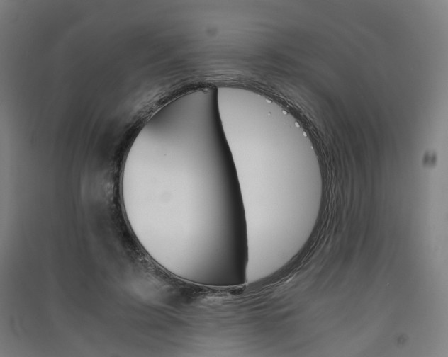 X0000091570595200708200953