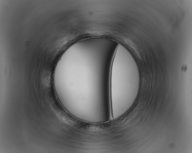 X0000091570596200708200953