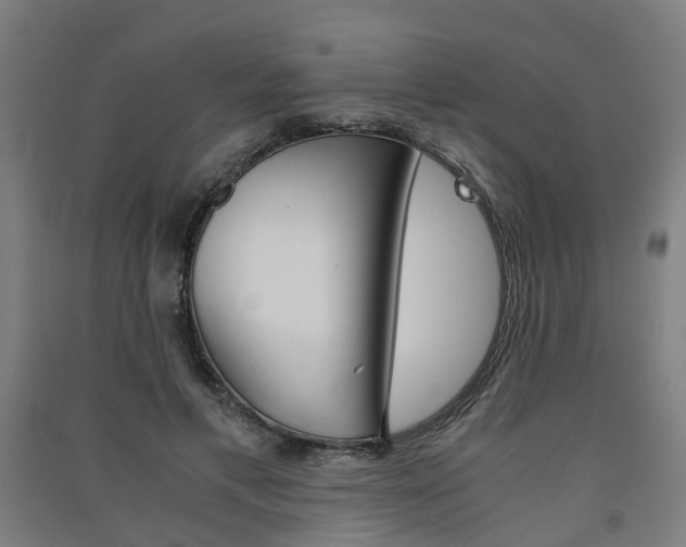 X0000091570597200708200953