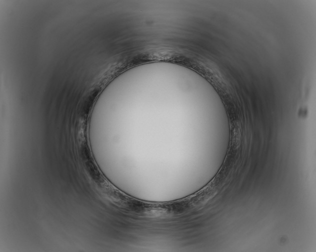 X0000091570598200708200953