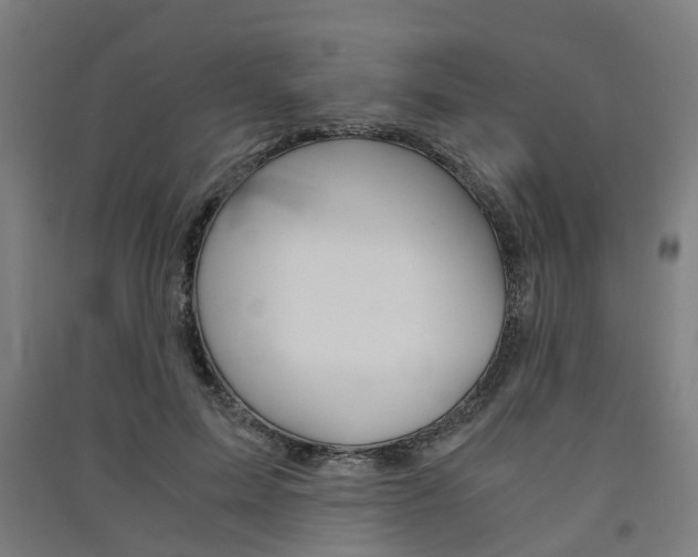 X0000091570599200708200952