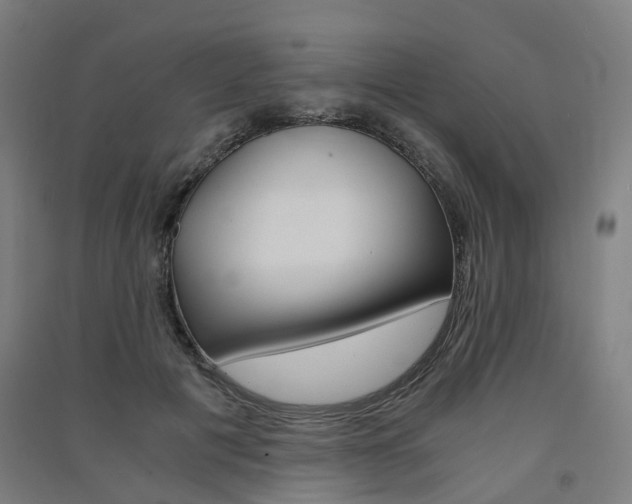 X0000091570601200708200952