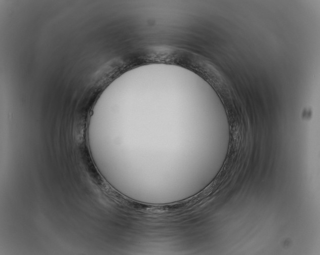 X0000091570602200708200952