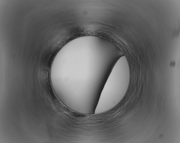 X0000091570603200708200952