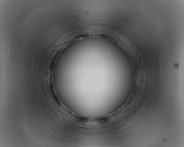 X0000091570604200708200952