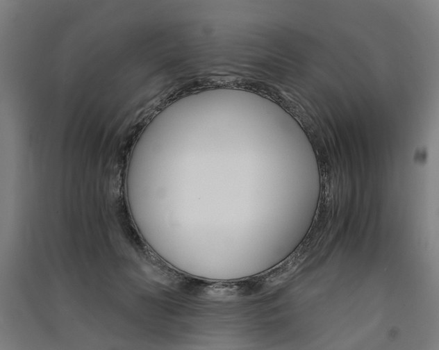 X0000091570606200708200952